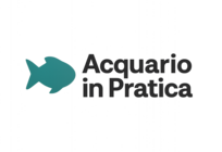 Acquario in Pratica